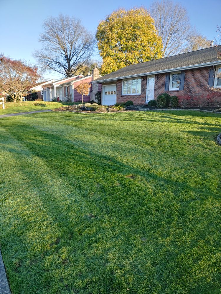 Fall Cleanup for Conoy Acres Lawn Service in Elizabethtown, PA