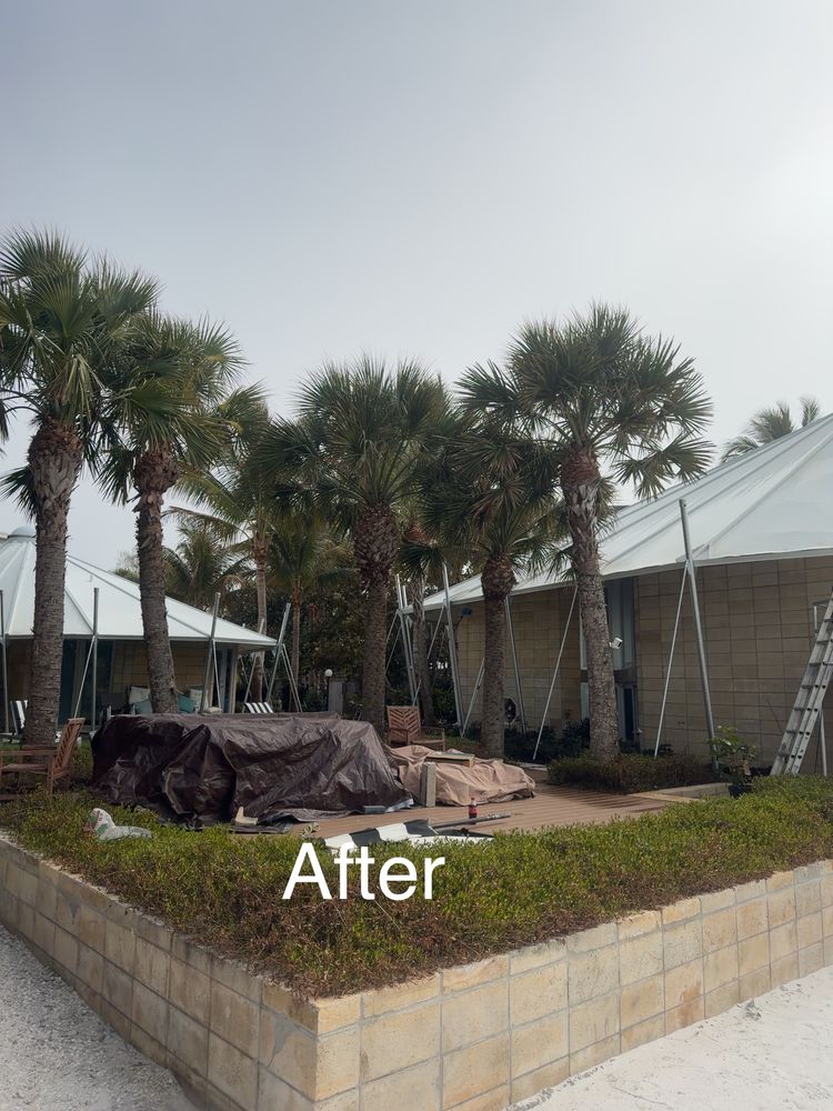 All Photos for My Soft Wash Guys in Venice, FL