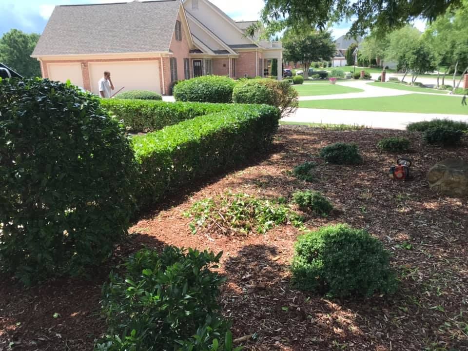 Landscaping for Mtn. View Lawn & Landscapes in Chattanooga, TN