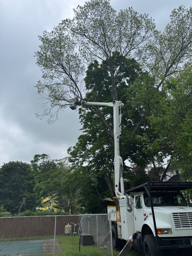 All Photos for Hennessey Tree & Landscape LLC in Oxford,  CT 