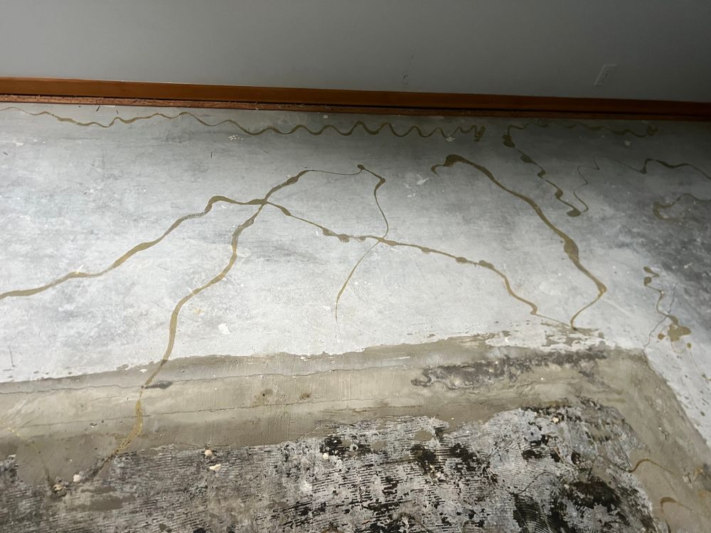 All Photos for Dib 896 Flooring in Dearborn Heights, MI