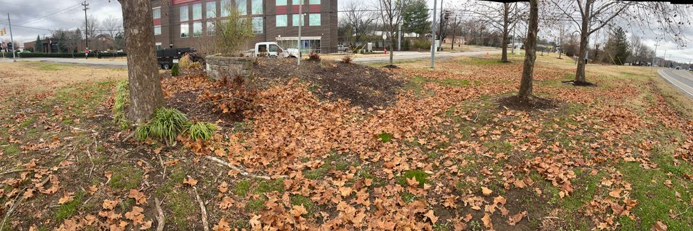 Fall Leaf Clean-Up for Russell's Lawn Care Plus in Nashville, TN