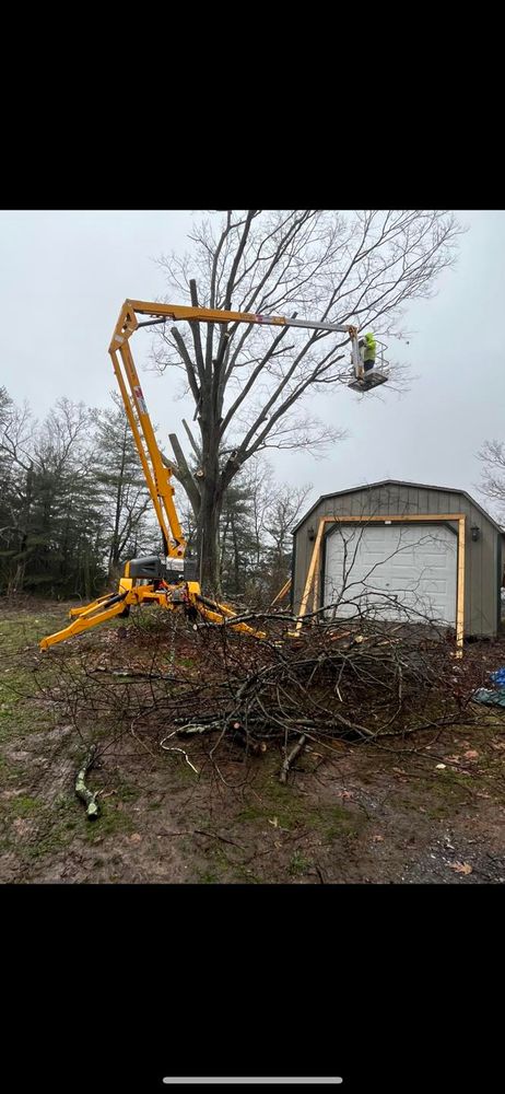 Tree Removal for Scott’s Tree Service, LLC in Winchester, VA