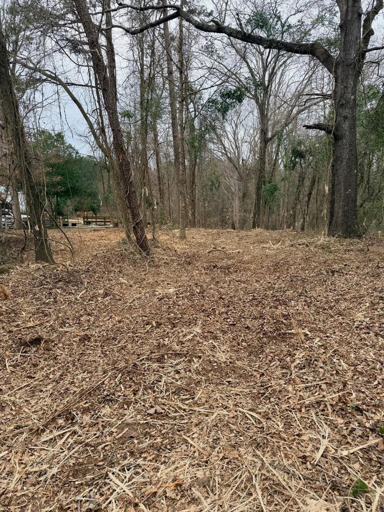 All Photos for T Crane Grading LLC in Clarkesville, GA