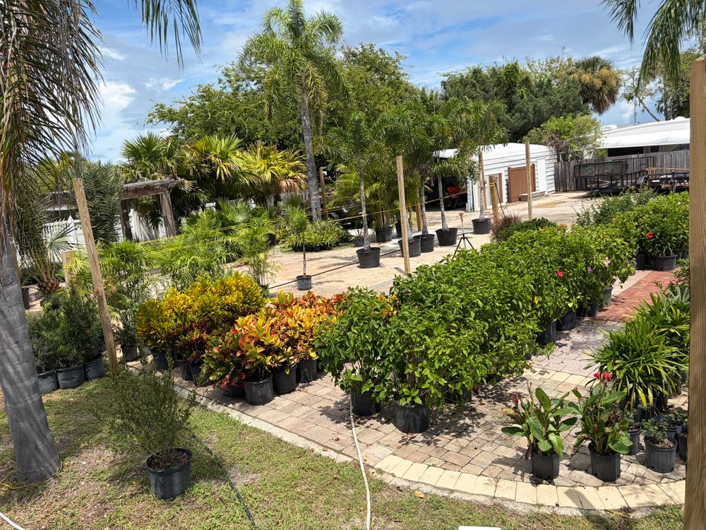 All Photos for Vanic's Landscaping in Port Orange, FL