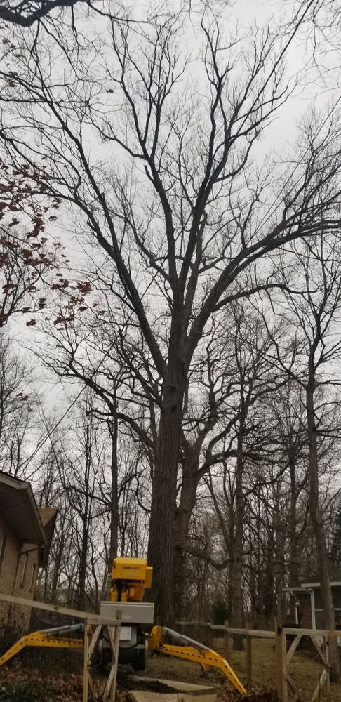 All Photos for Advanced Tree Solutions in Rockville, IN