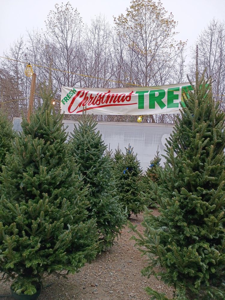 All Photos for BAM Another Pinestraw Lot in Flowery Branch, GA