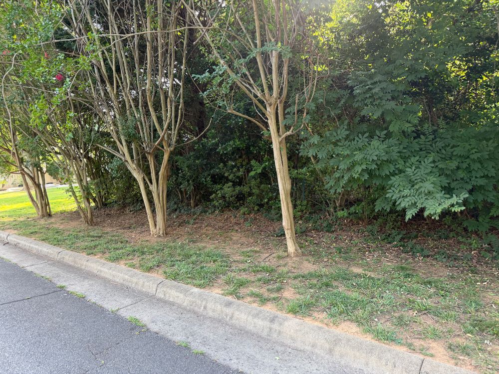 All Photos for D&G Pro Cut LLC in Winston-Salem, NC