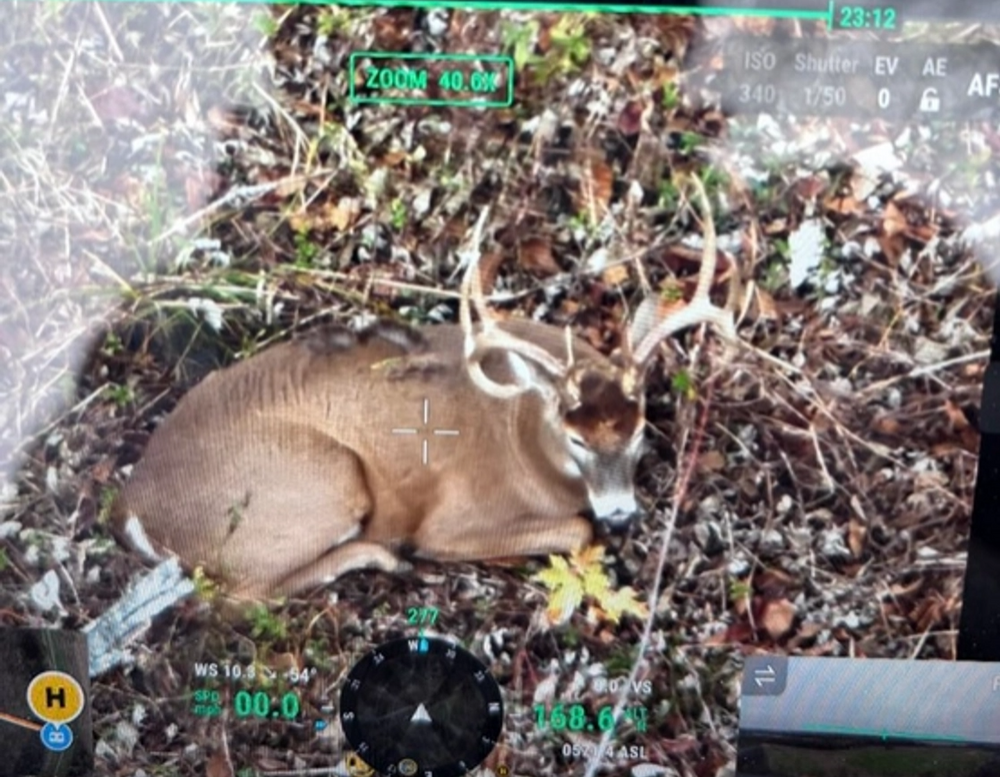 All Photos for Bluff Country Whitetails in Southern Indiana, IN