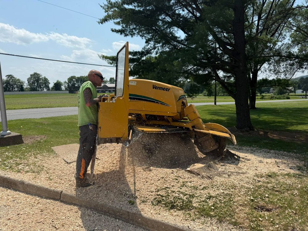All Photos for Total Tree Service in Washington, NJ
