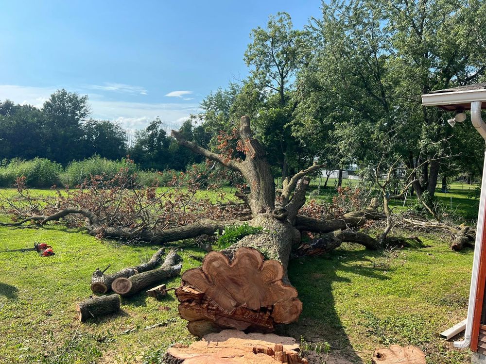 Our Tree Removal service ensures safe and efficient removal of unwanted or hazardous trees from your property by our experienced team using advanced equipment to protect your landscape and enhance curb appeal. for Baker Professional Services LLC in Shelbina, MO