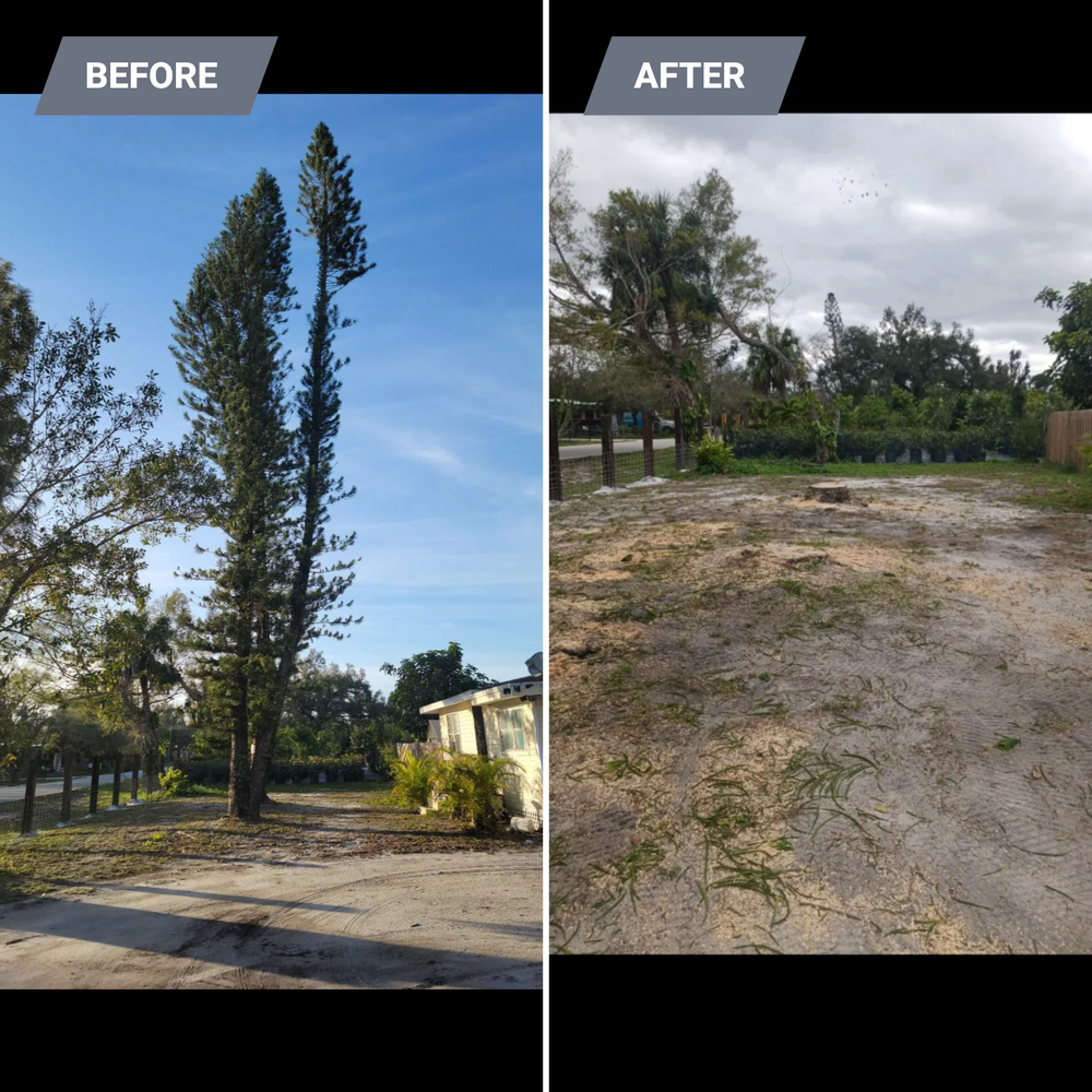 All Photos for Advanced Landscaping Solutions LLC in Fort Myers, FL