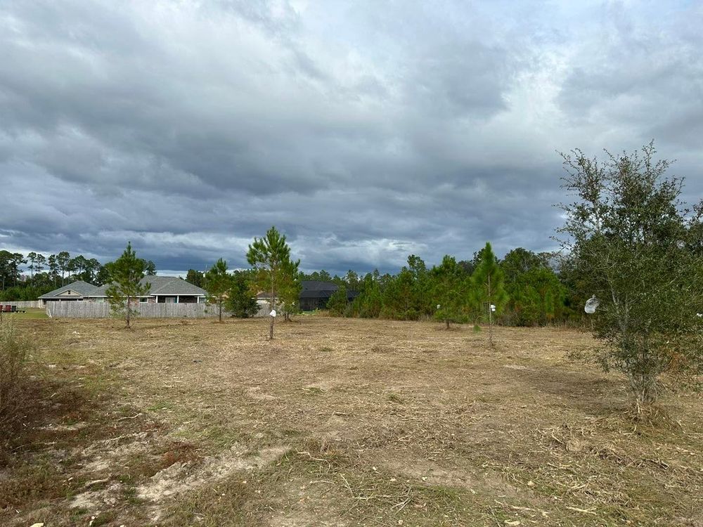 All Photos for White’s Land Maintenance in Milton,, FL