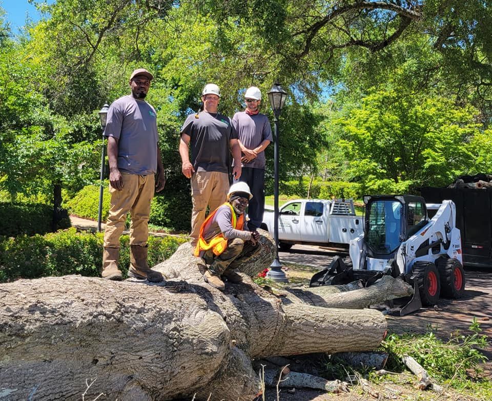 Trees Unlimited of the CSRA team in Augusta, GA - people or person