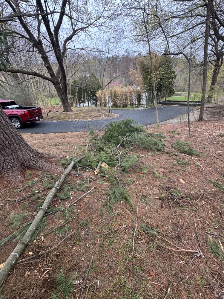 All Photos for Landscape & Lawn Care Pros in Reading, PA