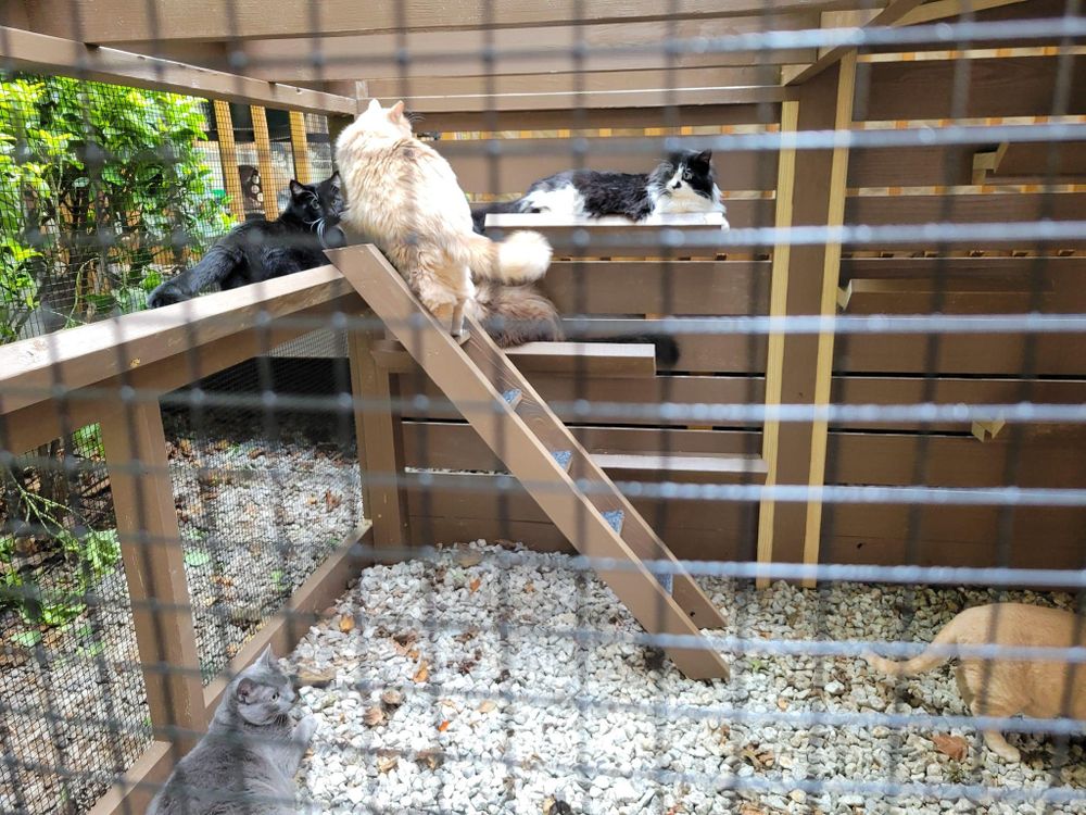 All Photos for GVL Renovations in Greenville, SC