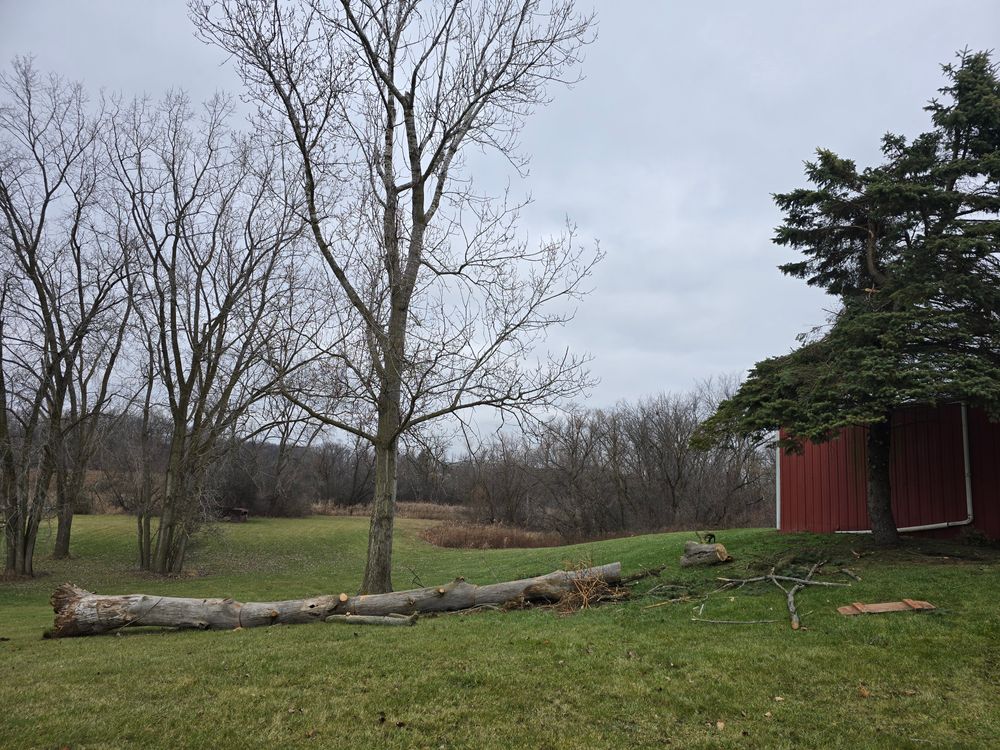 All Photos for D Hale Tree Service in Ann Arbor, MI