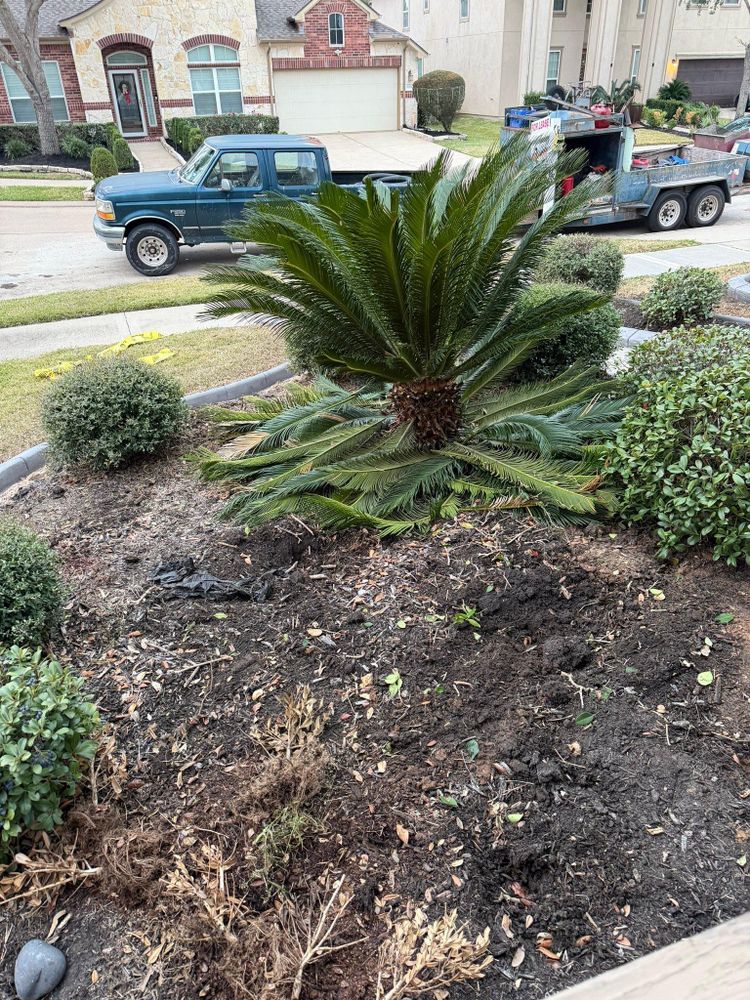 All Photos for Texas Curb N Borders in Houston, TX