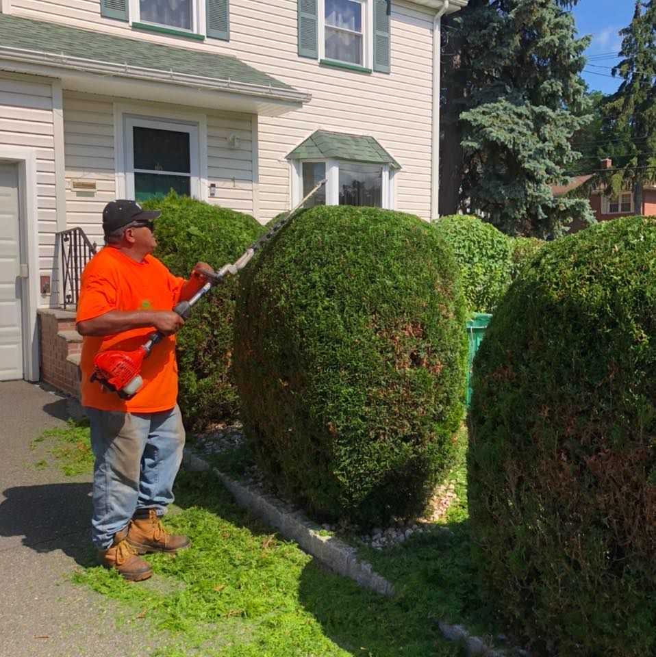 Enhance your home's curb appeal with our expert shrub trimming service, designed to shape and maintain the health of your shrubs, ensuring a neat and attractive landscape all year round. for Castro Landscaping in Orange, NJ