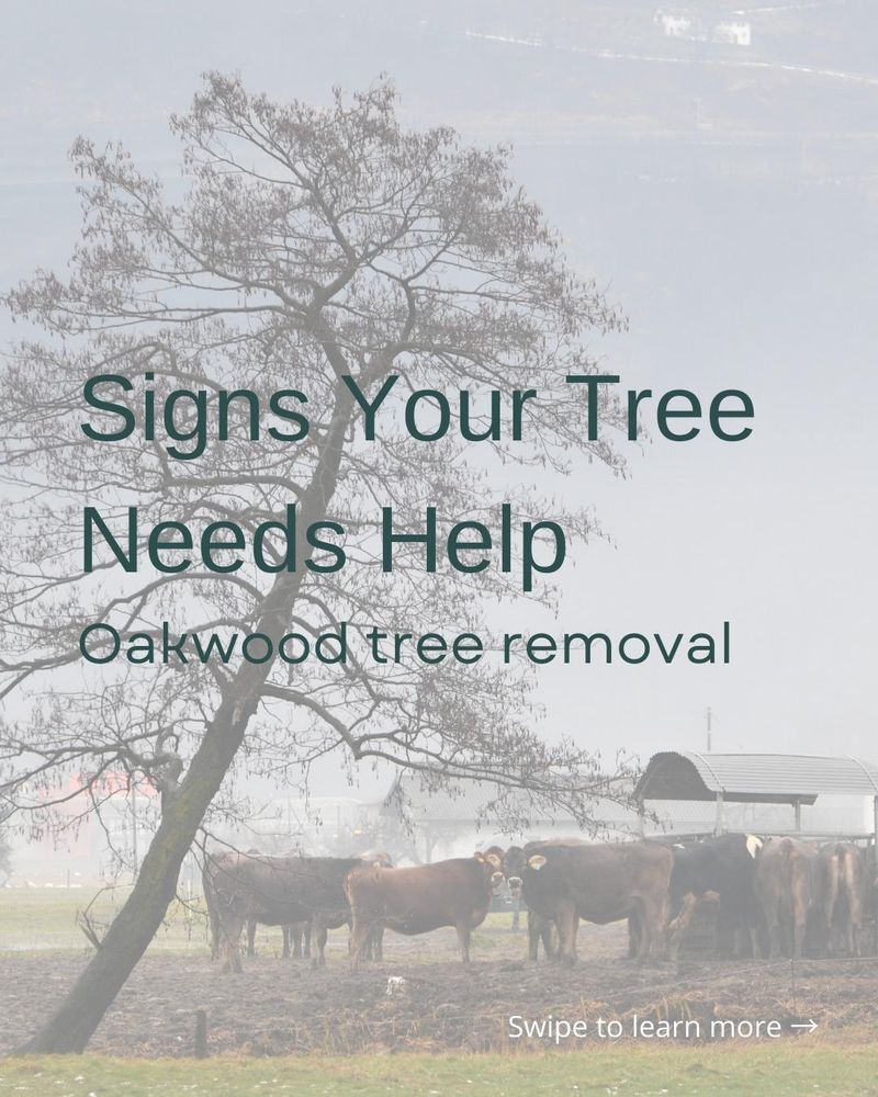 All Photos for Oakwood Tree Removal LLC in Oak Creek,  WI