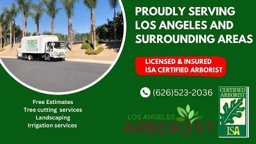 All Photos for Maya Tree Service in La Puente, CA