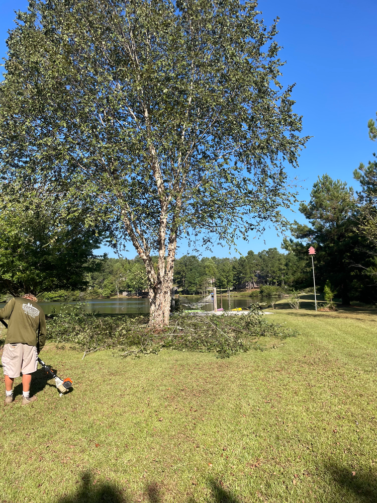 All Photos for Enhanced Landscape in Daphne, AL