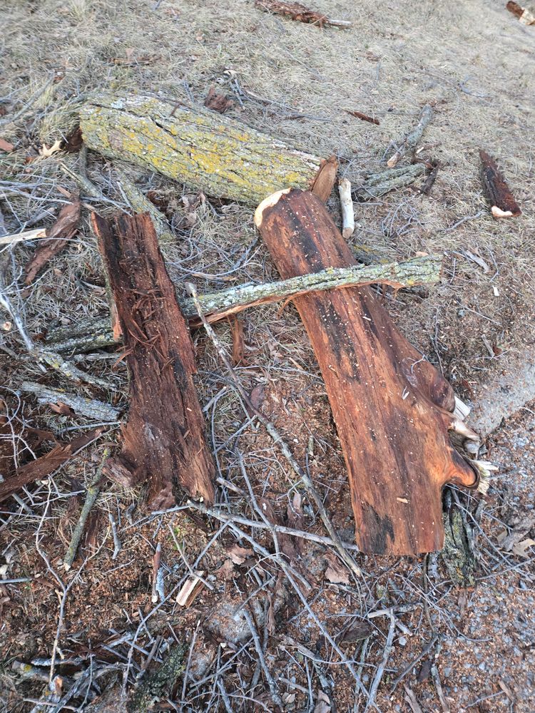 All Photos for Lawn Ranger Yard And Tree Service LLC in Ottumwa, IA