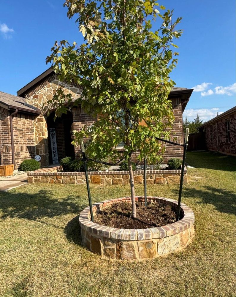 All Photos for North Texas Groundscaping in Frisco, TX