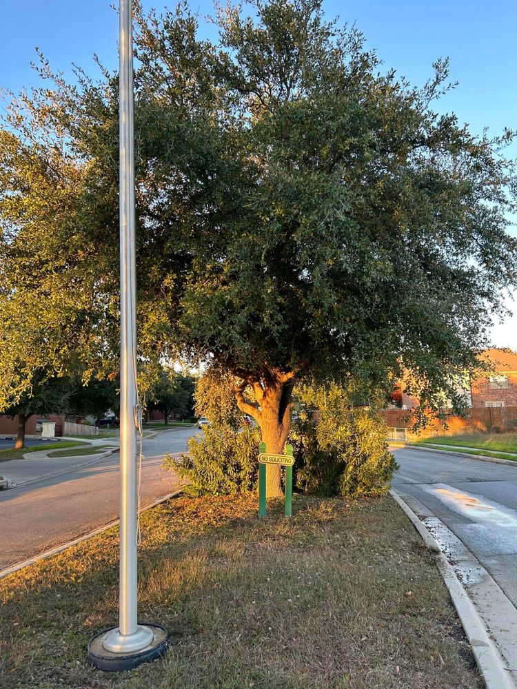 Our professional tree trimming service offers skilled arborists who will expertly trim your trees, ensuring their health and aesthetic appeal is maintained while keeping safety in mind. for C & C Lawn Care and Maintenance in New Braunfels, TX