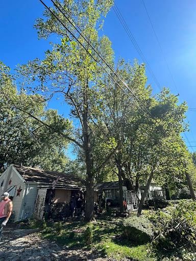 All Photos for Dig-It Tree Company in Mason, OH