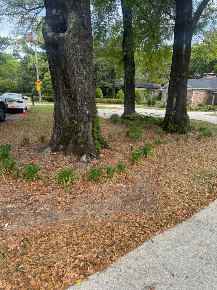 All Photos for Johnson Lawn Care and Maintenance in Mobile, AL