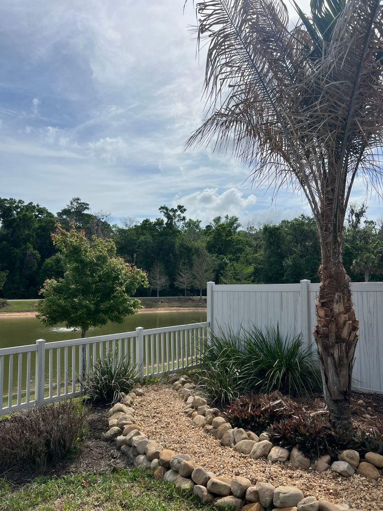 Palms for R.B. & Company in Belleview, FL