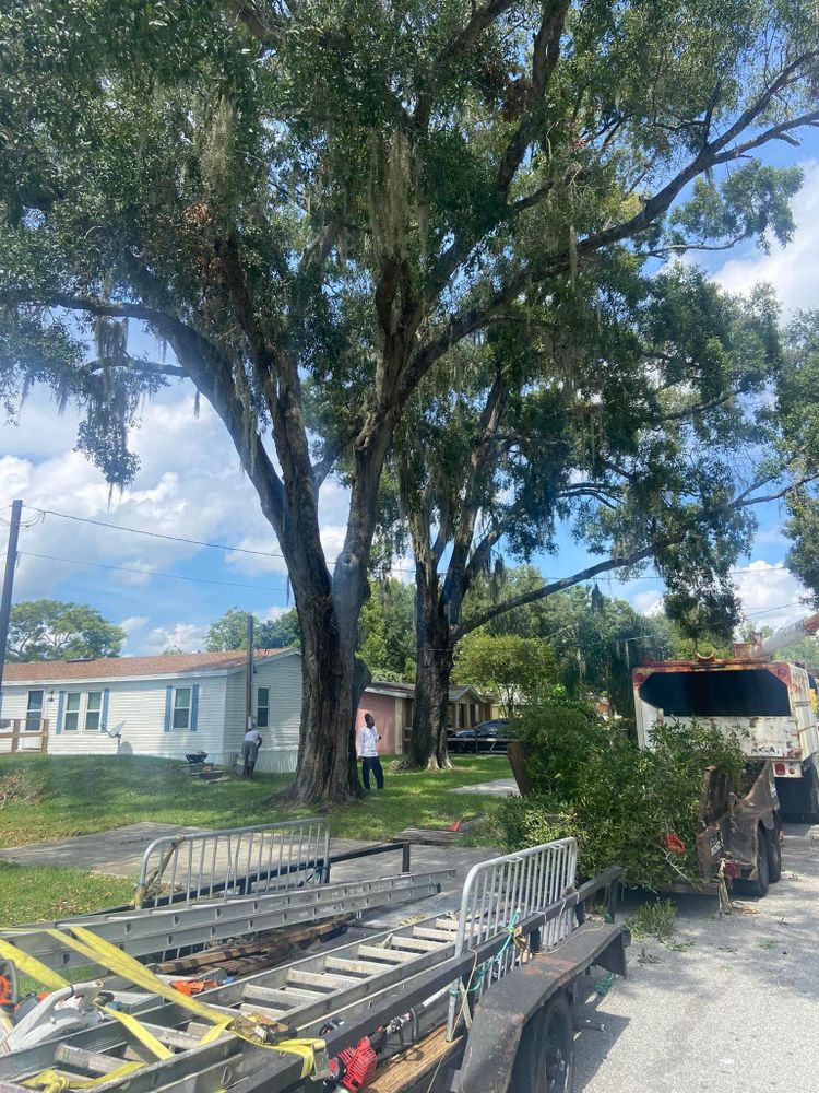 Fall and Spring Clean Up for Efficient and Reliable Tree Service in Lake Wales, FL