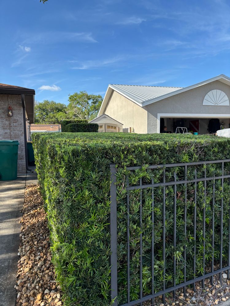 All Photos for Space Coast Property Maintenance and Management LLC in Melbourne, FL