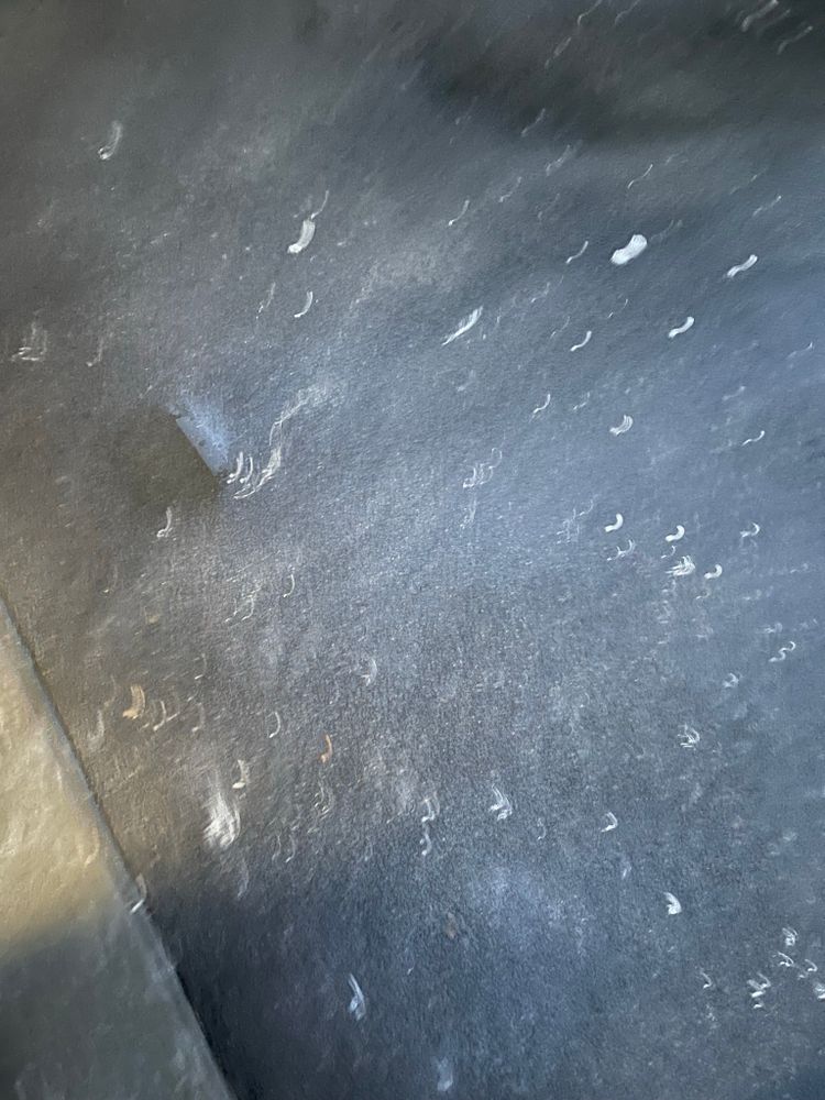 All Photos for Tony's Remodeling & Painting in Renton, WA