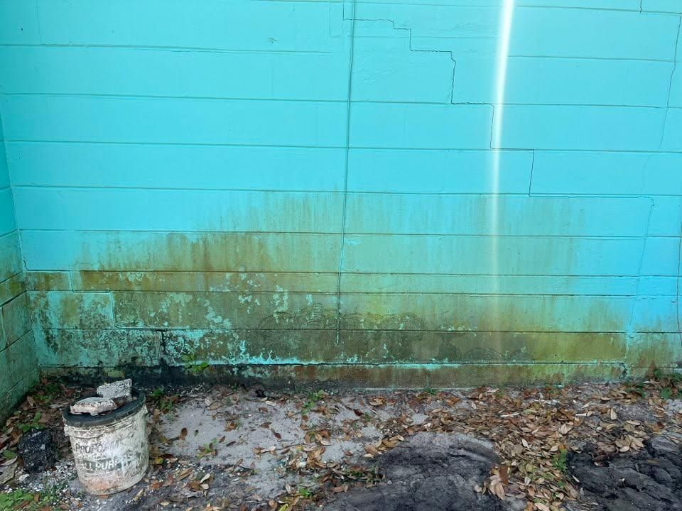 All Photos for Stain X Carpet Cleaning in Jacksonville, FL