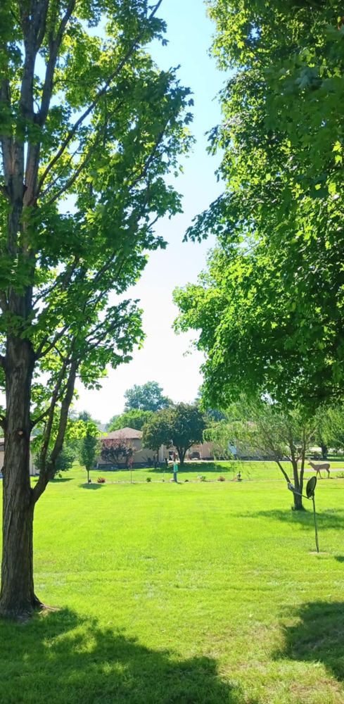 All Photos for Lawn Ranger Yard And Tree Service LLC in Ottumwa, IA