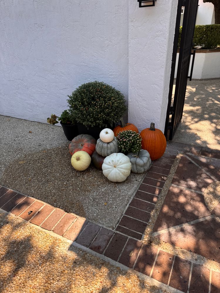 Fall Decorations  for Espinoza Landscape & Construction  in San Antonio, TX