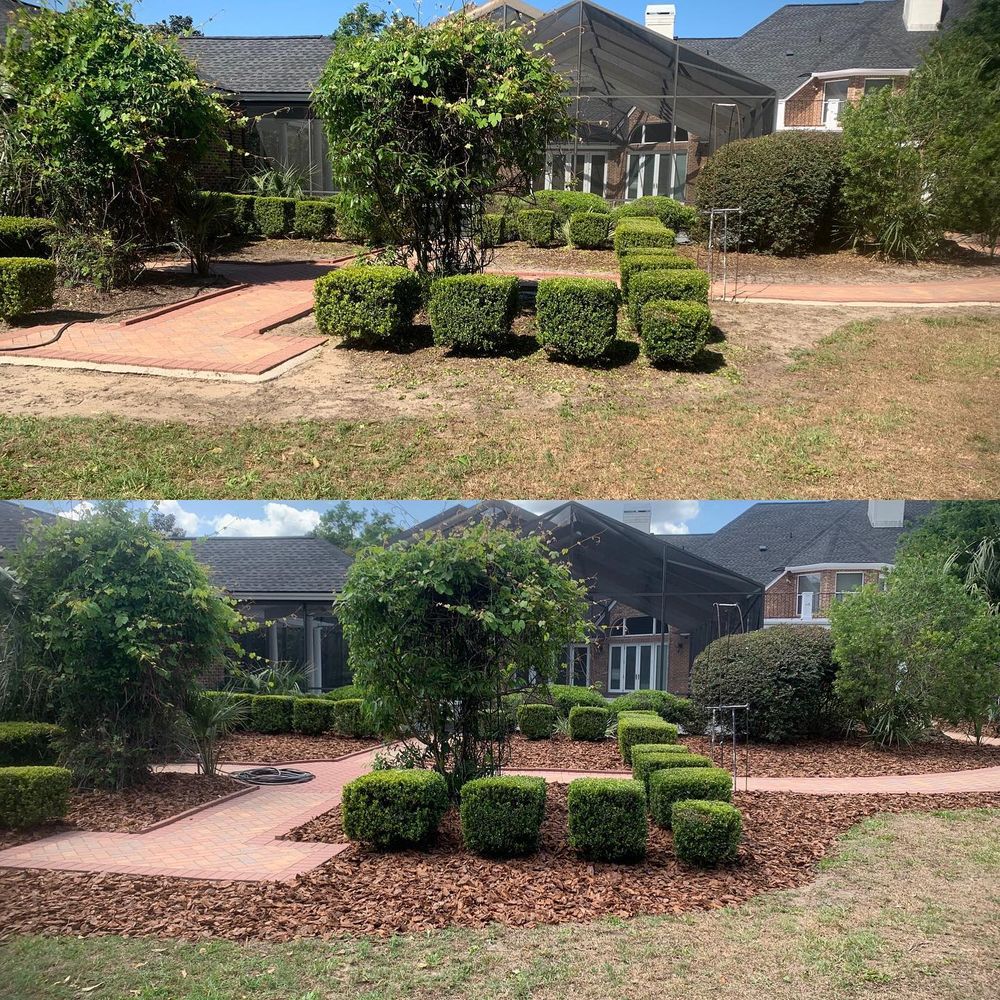 Landscape Cleanup for Kings Legacy Services in Gainesville ,  FL