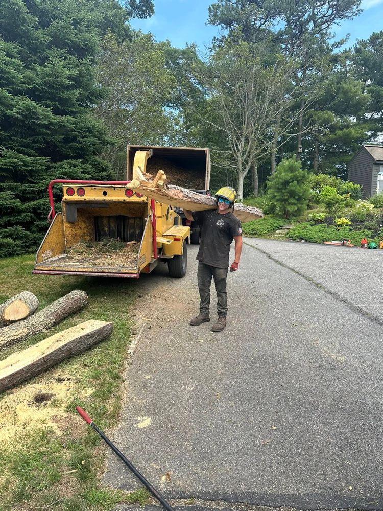 Tree Removal for Dwights Tree Service LLC in Middleborough, MA