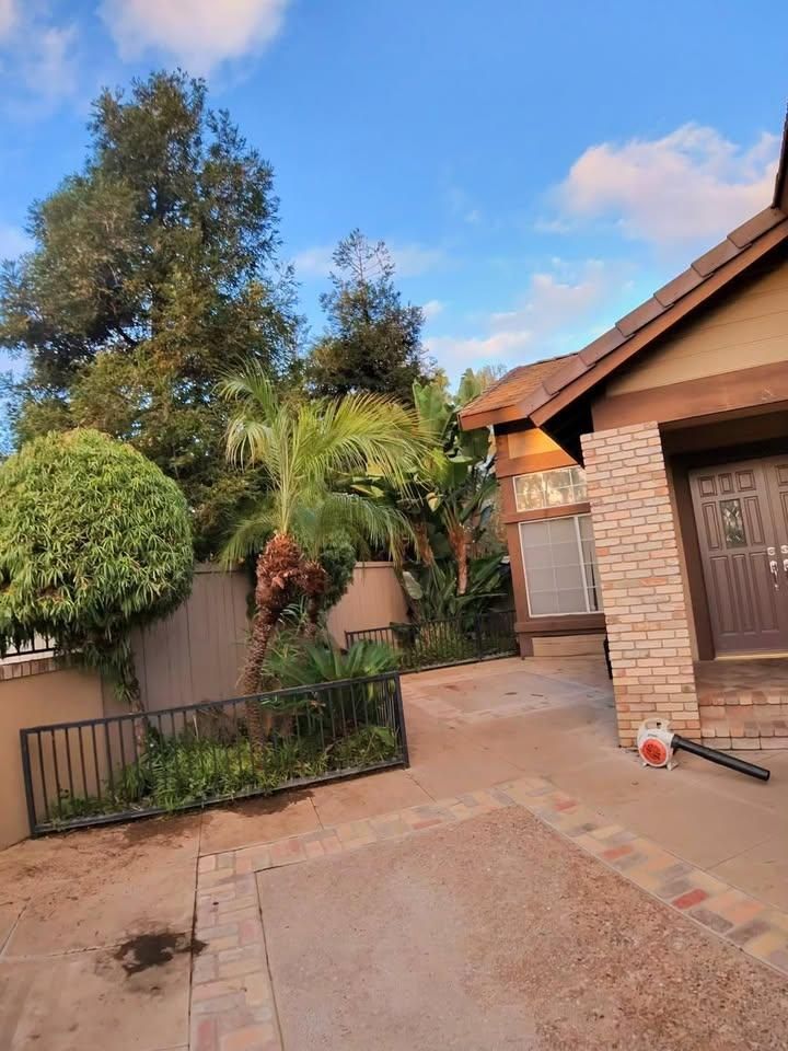 All Photos for Benito's Gardening in San Juan Capistrano, CA