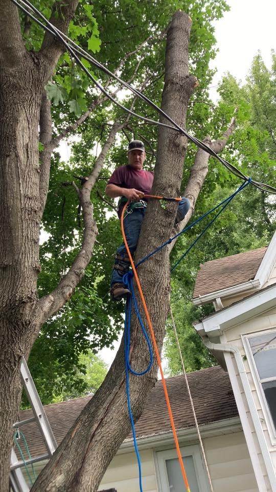 Enhance your home's curb appeal with our expert Tree and Lawn services. From precise trimming to lush lawn care, we ensure your outdoor space is beautifully maintained and thriving year-round. for Lawton Home Services LLC in Lawton, OK