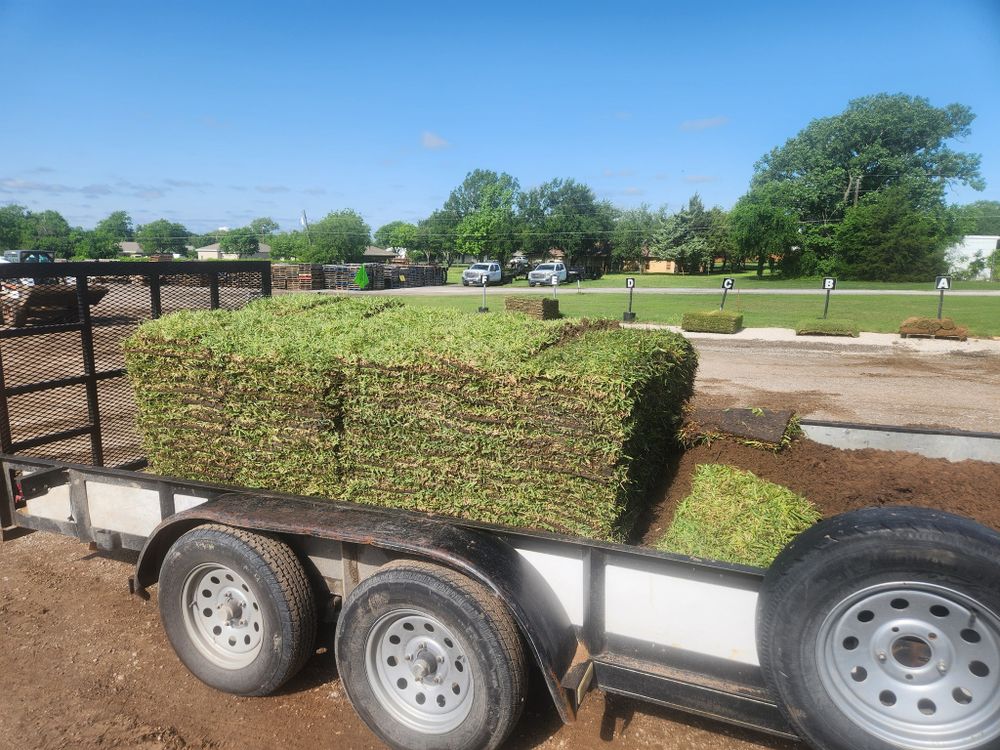 Transform your lawn with our professional sod installation service. For added seasonal charm, explore our "christmas lights installation near me" to illuminate your home beautifully for the holidays. for Lavon Lawn Plus in Lavon, TX