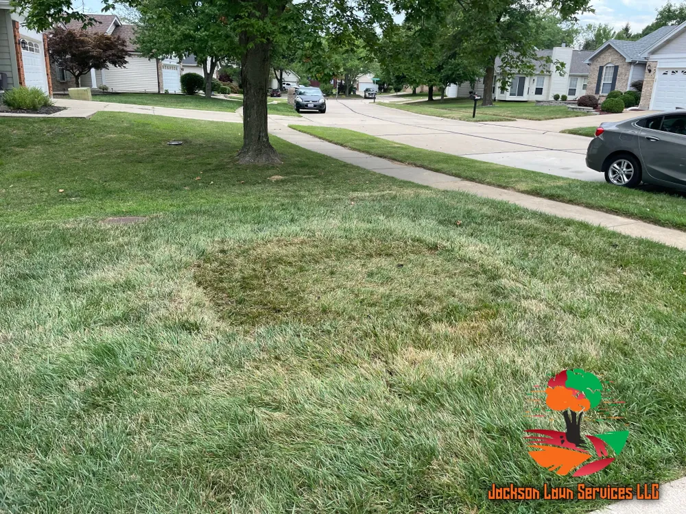 All Photos for Jackson Lawn Services LLC in St Louis, MO