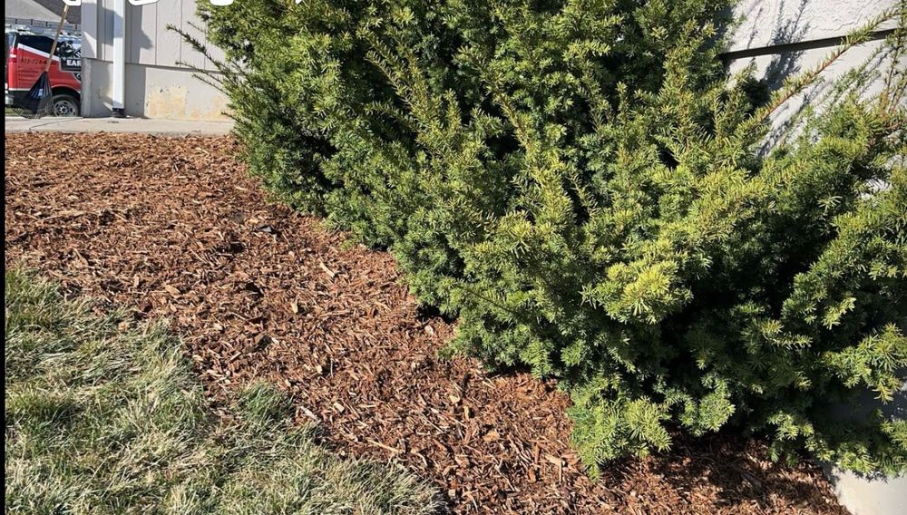 All Photos for 4 Seasons Landscaping in Kansas City,, KS