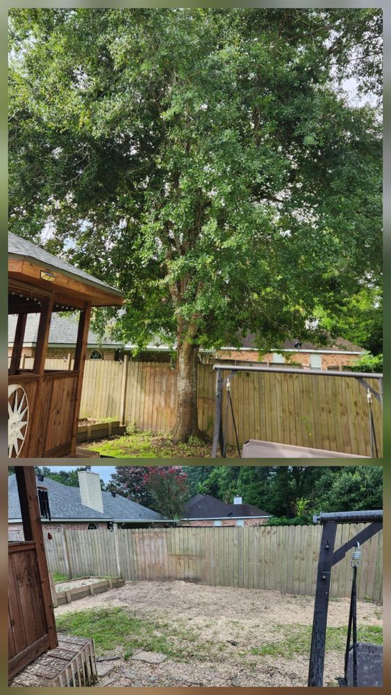 All Photos for Ken's Elite Cutters LLC  in Breaux Bridge, LA