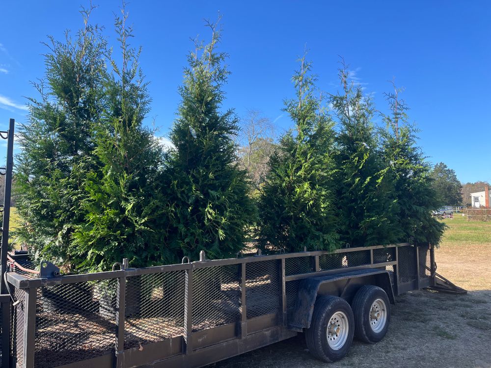 All Photos for Atlas Home Services in Mechanicsville, VA