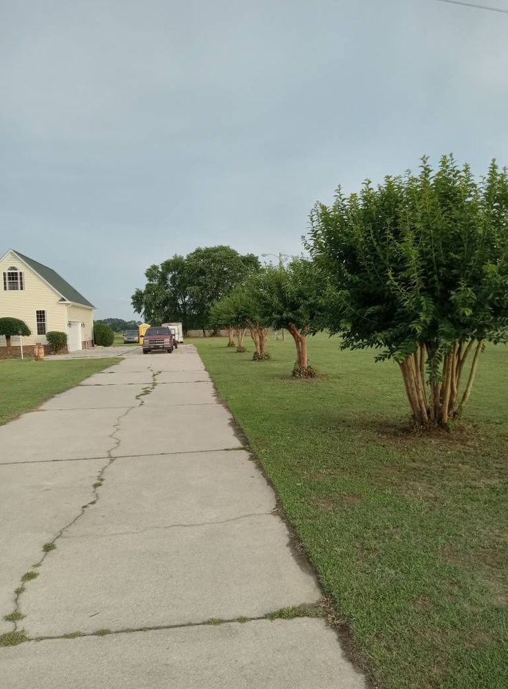 Enhance your home's curb appeal with our professional shrub trimming service, designed to maintain healthy growth, improve aesthetics, and ensure a neat appearance for your landscape all year round. for Brothers On Point Lawn And Junk Removal in Wilson, NC