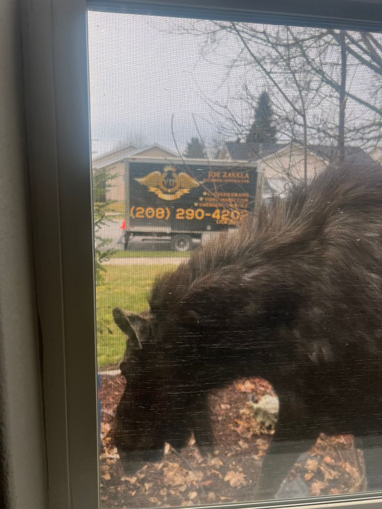 All Photos for V.I.P Plumbing in Sandpoint, ID