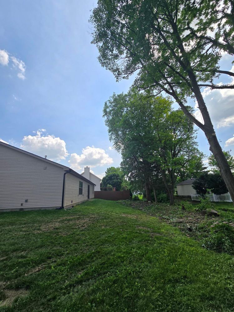 All Photos for F & F Tree Service in Beavercreek, OH